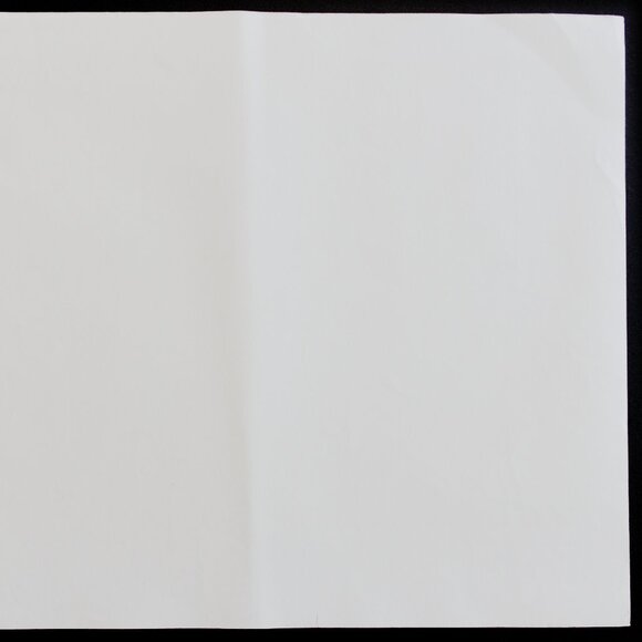 HOMEWARD #158 Edward Sheriff Curtis Print - Picture 8 of 8